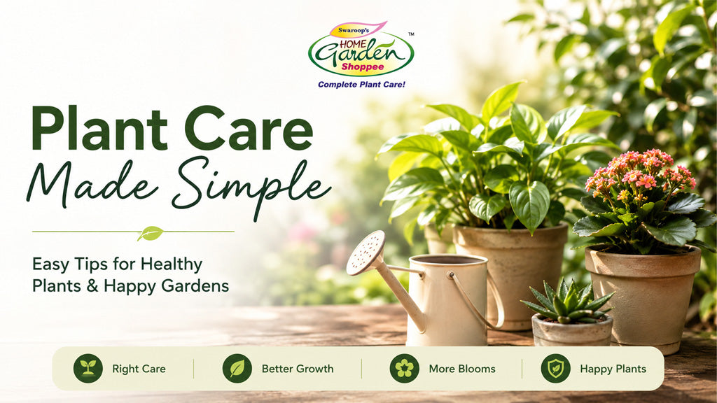 Plant care products for indoor and outdoor home gardens