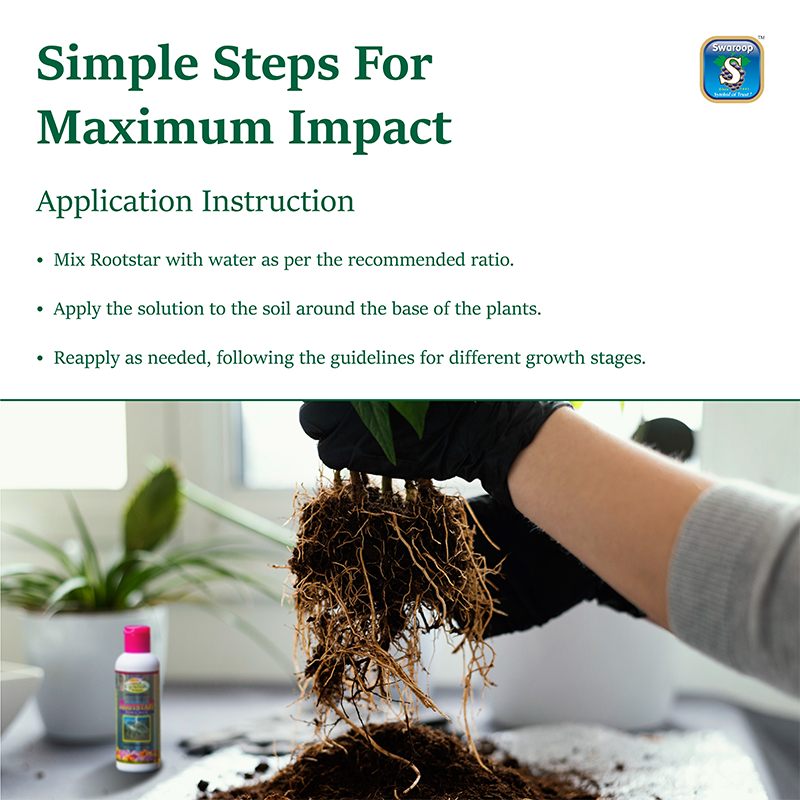Rootstar 100 ml | Root Development & Germination Booster for Plants ...